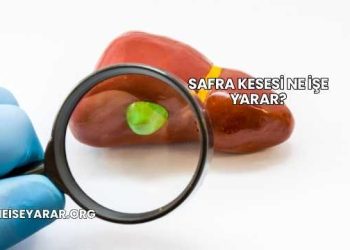 Safra Kesesi Ne İşe Yarar?