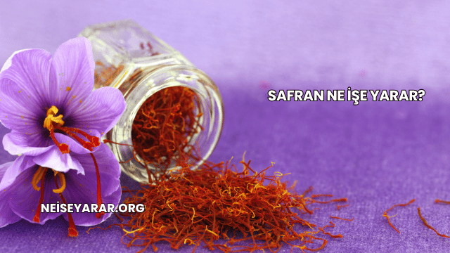 Safran Ne İşe Yarar?