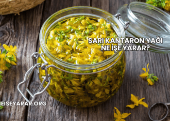 Sarı Kantaron Yağı Ne İşe Yarar?