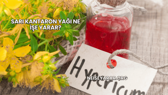 Sarı Kantaron Yağı Ne İşe Yarar?