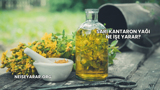 Sarı Kantaron Yağı Ne İşe Yarar?