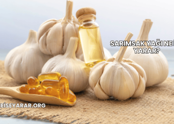 Sarımsak Yağı Ne İşe Yarar?