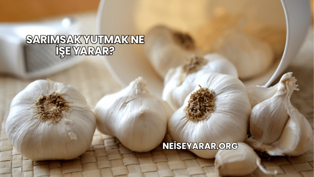 Sarımsak Yutmak Ne İşe Yarar?