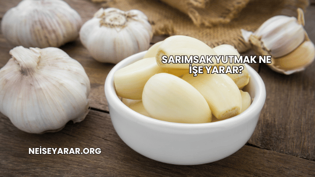 Sarımsak Yutmak Ne İşe Yarar?