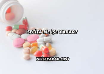 Secita Ne İşe Yarar?