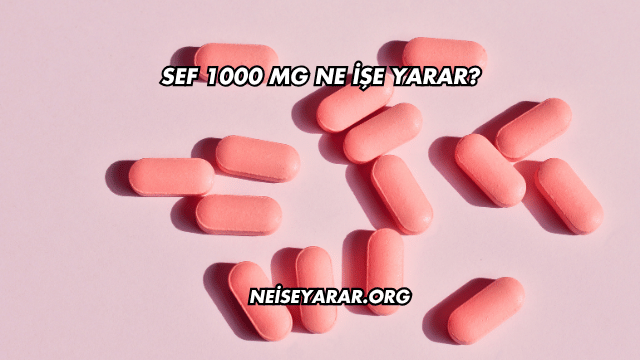 Sef 1000 Mg Ne İşe Yarar?