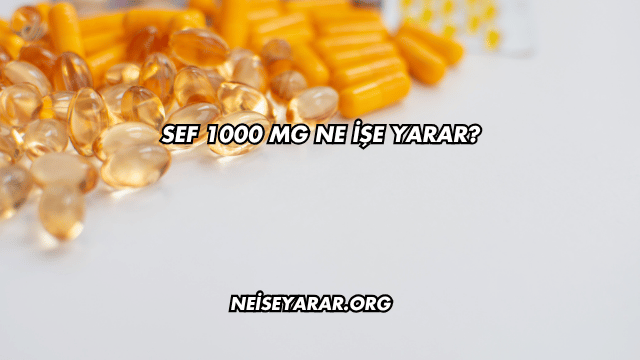 Sef 1000 Mg Ne İşe Yarar?