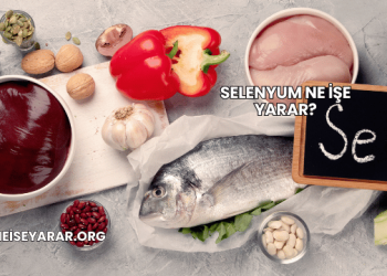 Selenyum Ne İşe Yarar?