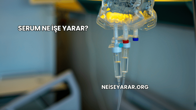 Serum Ne İşe Yarar?