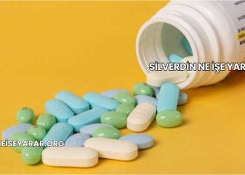 Silverdin Ne İşe Yarar?