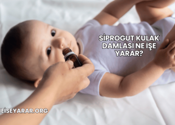 Siprogut Kulak Damlası Ne İşe Yarar?