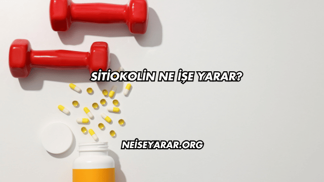 Sitiokolin Ne İşe Yarar?