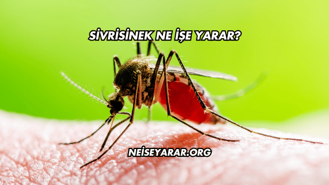 Sivrisinek Ne İşe Yarar?