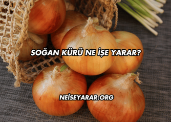 Soğan Kürü Ne İşe Yarar?