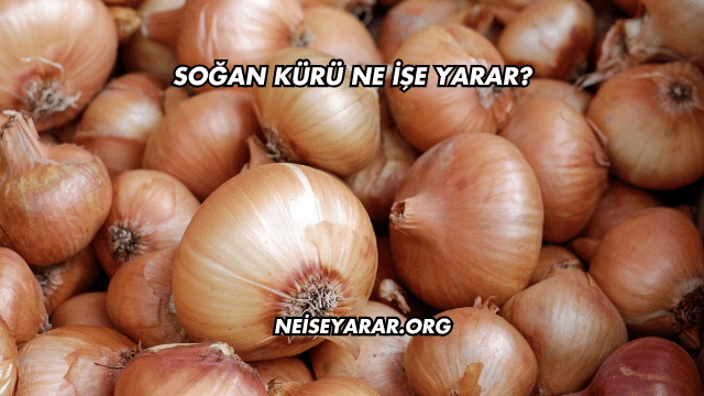 Soğan Kürü Ne İşe Yarar?