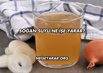 Soğan Suyu Ne İşe Yarar?