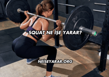 Squat Ne İşe Yarar?