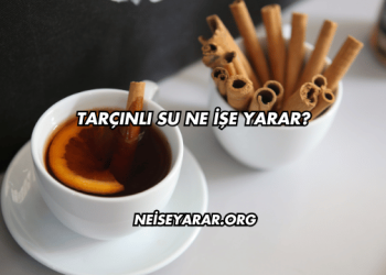 Tarçınlı Su Ne İşe Yarar?