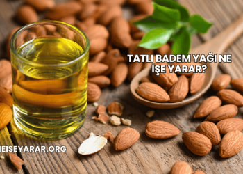 Tatlı Badem Yağı Ne İşe Yarar?