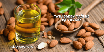 Tatlı Badem Yağı Ne İşe Yarar?