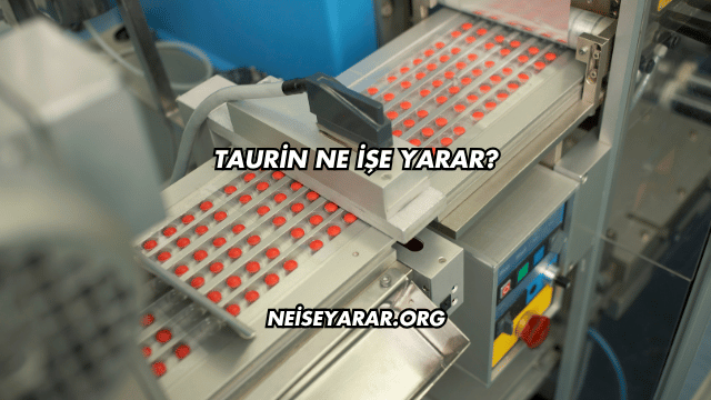 Taurin Ne İşe Yarar?