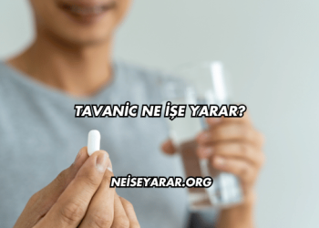 Tavanic Ne İşe Yarar