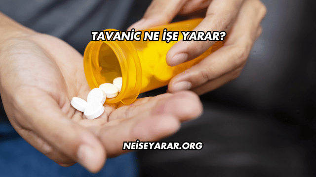 Tavanic Ne İşe Yarar