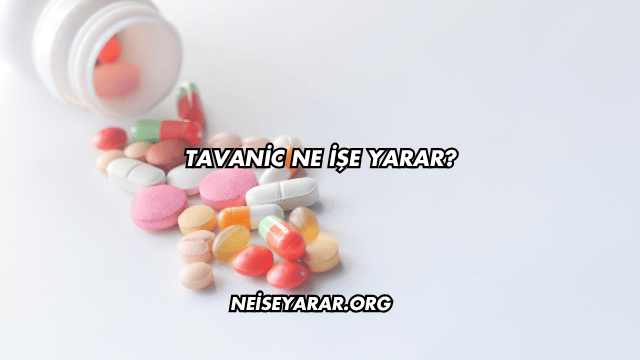 Tavanic Ne İşe Yarar