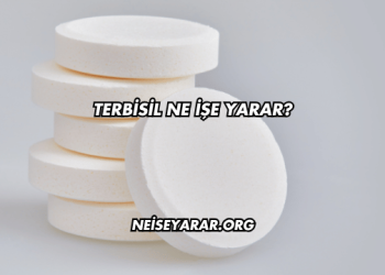 Terbisil Ne İşe Yarar?