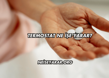 Termostat Ne İşe Yarar?