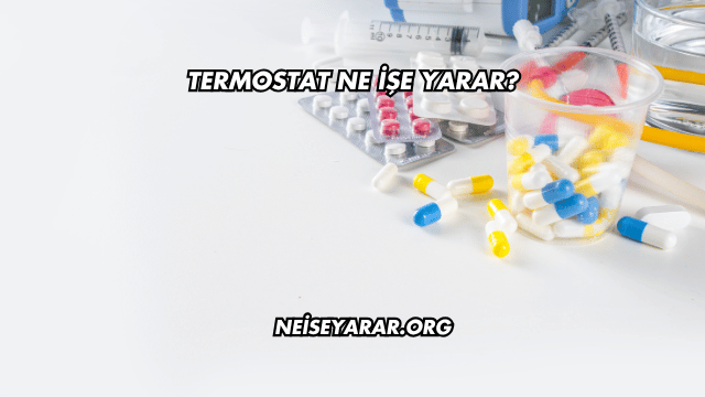 Termostat Ne İşe Yarar?