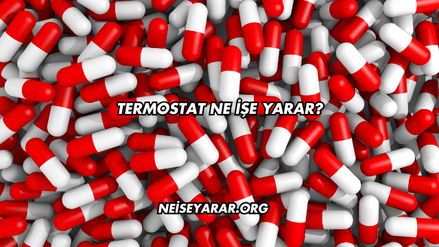 Termostat Ne İşe Yarar?