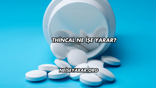 Thincal Ne İşe Yarar?