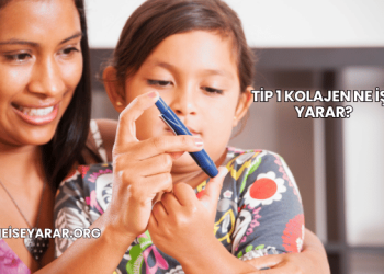 Tip 1 Kolajen Ne İşe Yarar?