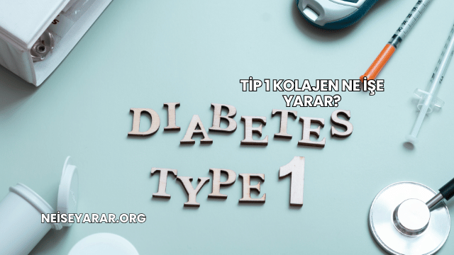 Tip 1 Kolajen Ne İşe Yarar?