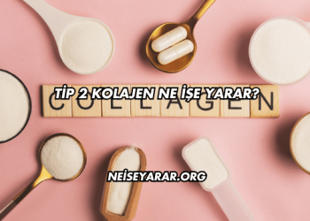 Tip 2 Kolajen Ne İşe Yarar?