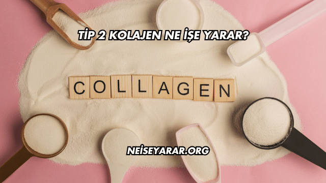 Tip 2 Kolajen Ne İşe Yarar?