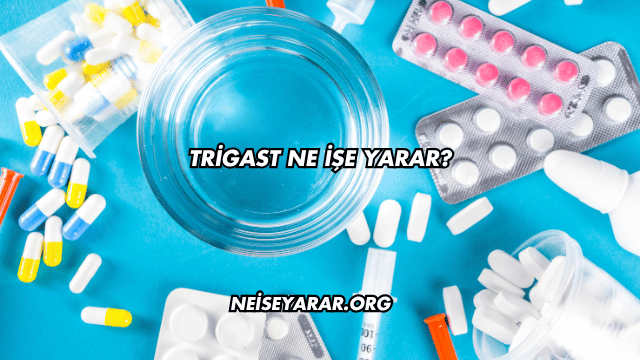 Trigast Ne İşe Yarar?
