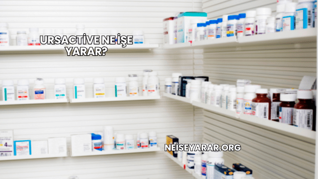 Ursactive Ne İşe Yarar?