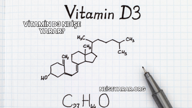 Vitamin D3 Ne İşe Yarar?