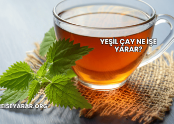 Yeşil Çay Ne İşe Yarar?