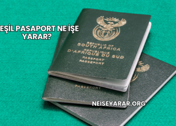 Yeşil Pasaport Ne İşe Yarar?