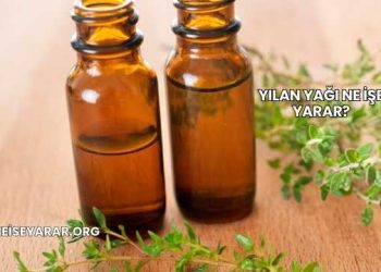 Yılan Yağı Ne İşe Yarar?