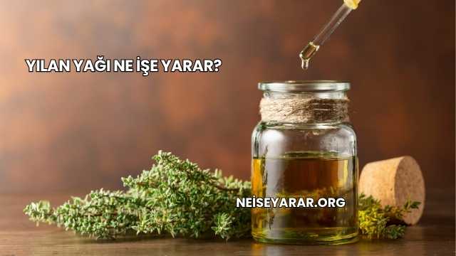 Yılan Yağı Ne İşe Yarar?