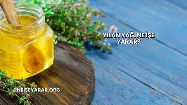 Yılan Yağı Ne İşe Yarar?