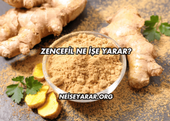 Zencefil Ne İşe Yarar?