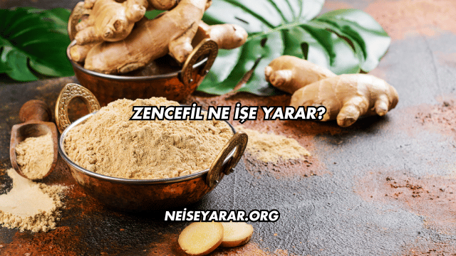 Zencefil Ne İşe Yarar?