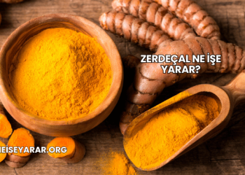 Zerdeçal Ne İşe Yarar?