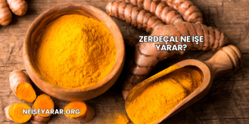 Zerdeçal Ne İşe Yarar?