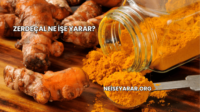 Zerdeçal Ne İşe Yarar?